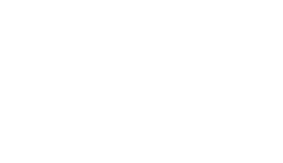 Vivacità